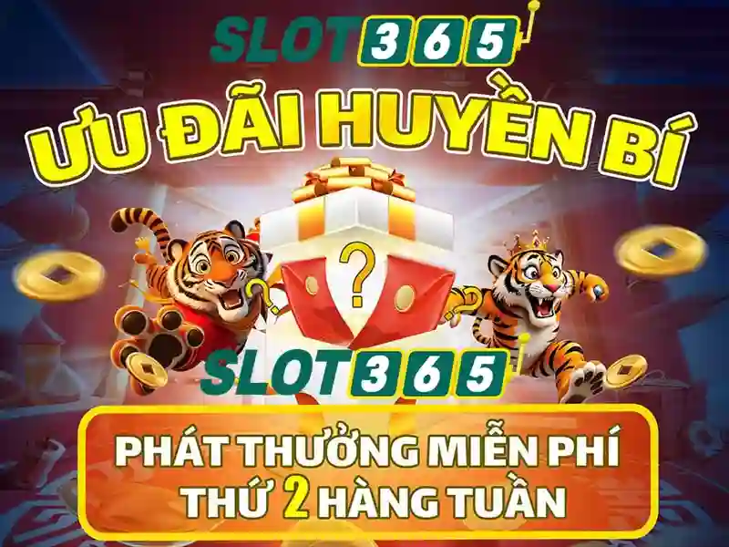 Đặc Điểm Nổi Bật