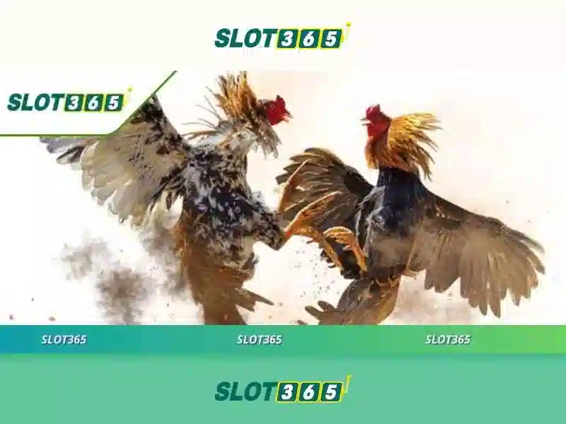 Giới Thiệu Về Slot365