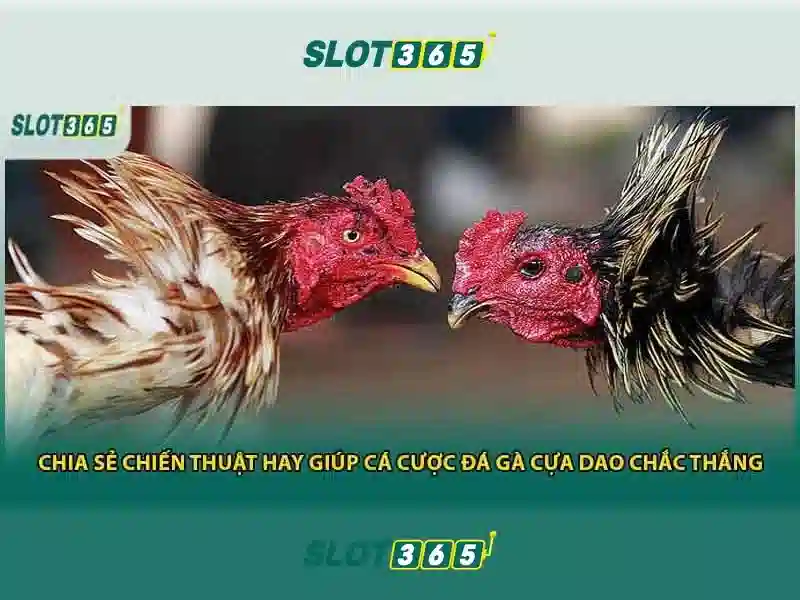 Khuyến Mãi Slot365