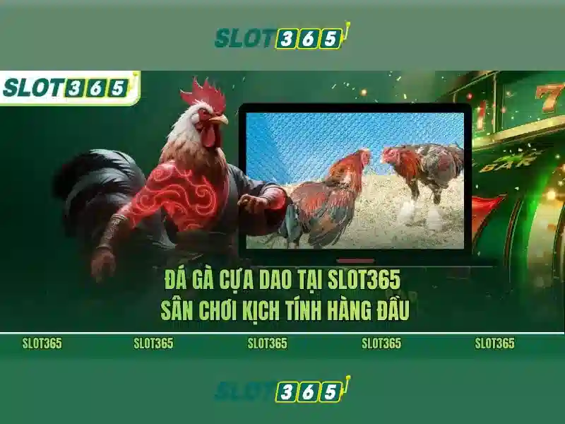 Quy trình đăng ký Slot365