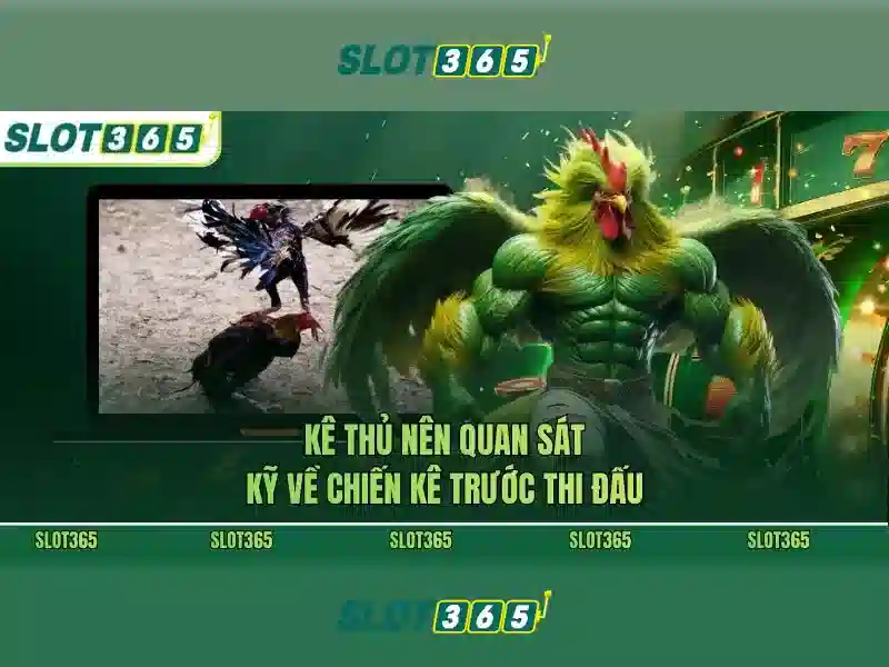 SLOT365 – Nền tảng giải trí trực tuyến hàng đầu châu Á với Slot365 apk