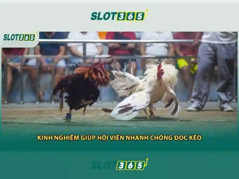 Trải Nghiệm Trò Chơi SLOT