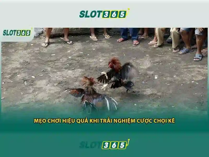 Slot365 Alternatif