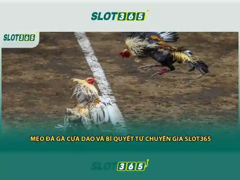 Nổ hũ SLOT365 – Hướng Dẫn Chi Tiết Cách Chơi Và Tận Hưởng Trải Nghiệm Tối Ưu