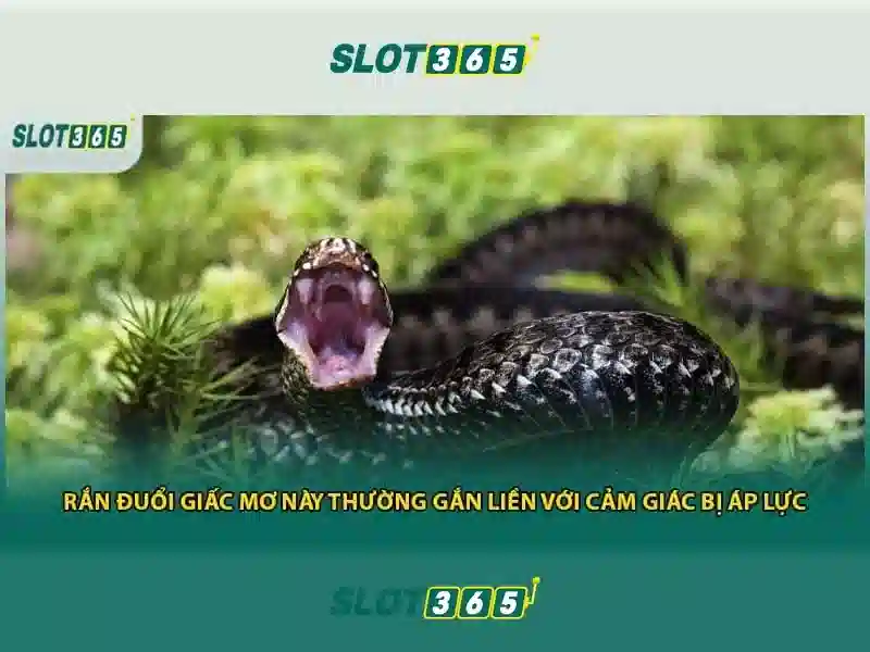 Chơi Có Trách Nhiệm Với Bản Thân