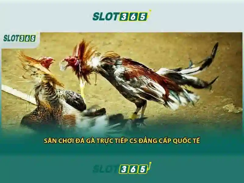 Khuyến Mãi Slot365