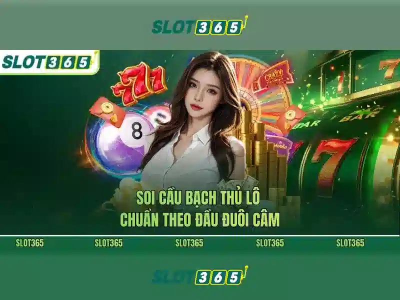 Giấy phép hoạt động quốc tế