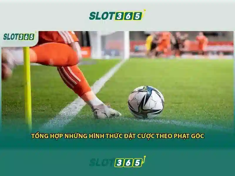 Chính Sách Miễn Trừ Trách Nhiệm Slot365 2026