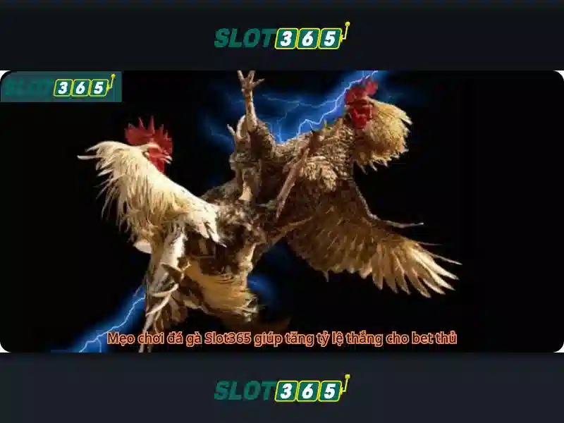 Điều Khoản Slot365 Tái 2026
