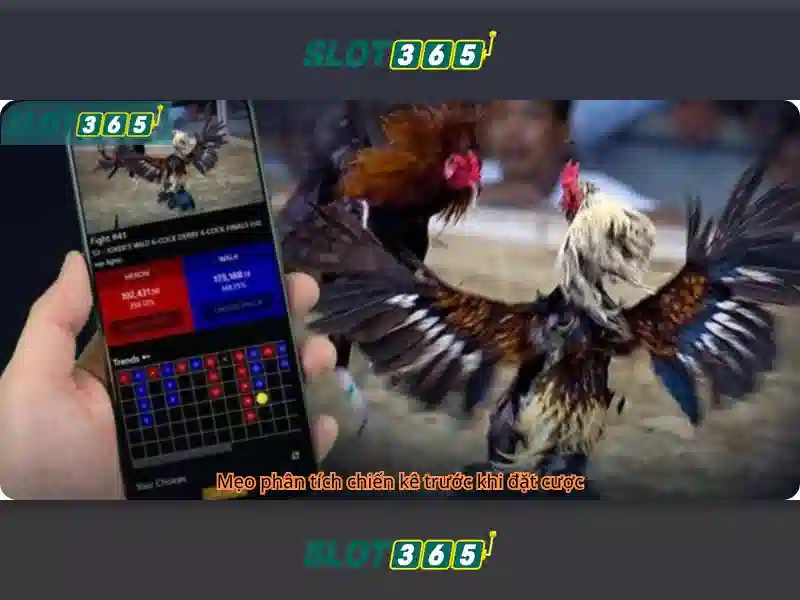 slot365 bảo mật