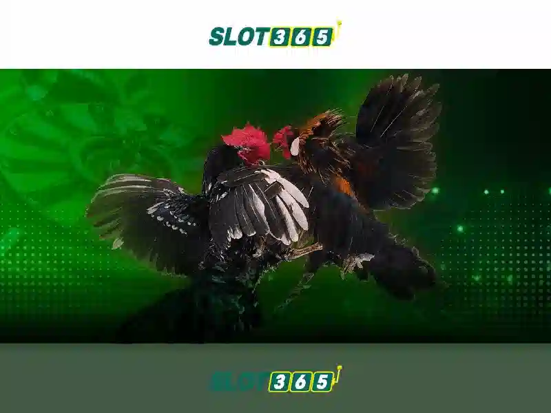 Slot365 Khuyến Mãi