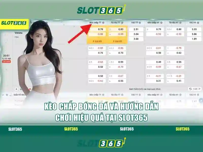 Các Lỗi Trong Quá Trình Đăng Ký