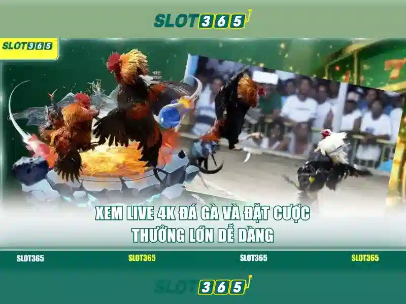 Rút Thưởng Slot365