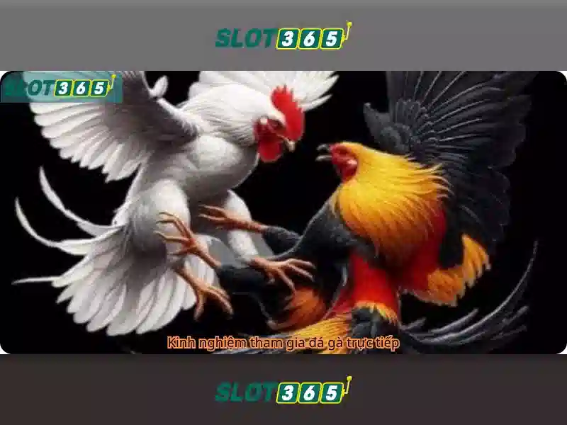 heylink slot365 login