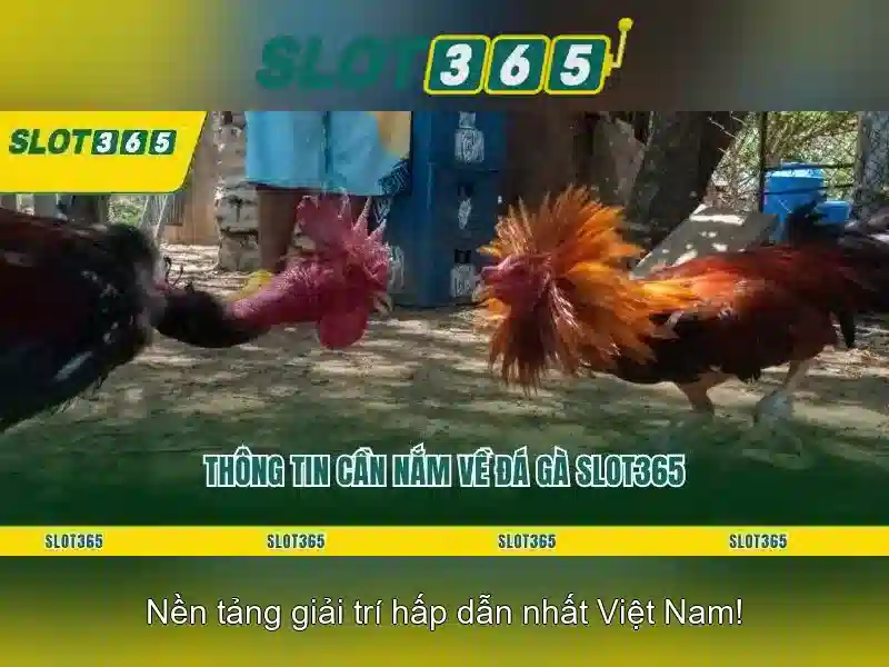 Công Nghệ Mã Hóa Slot365