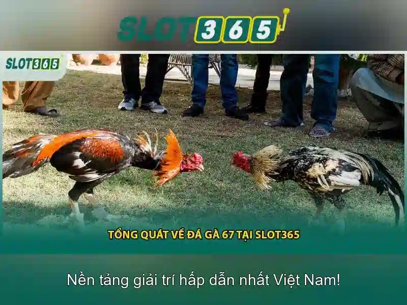 SLOT365 – Đánh Giá Slot365 Có Uy Tín Không 2026