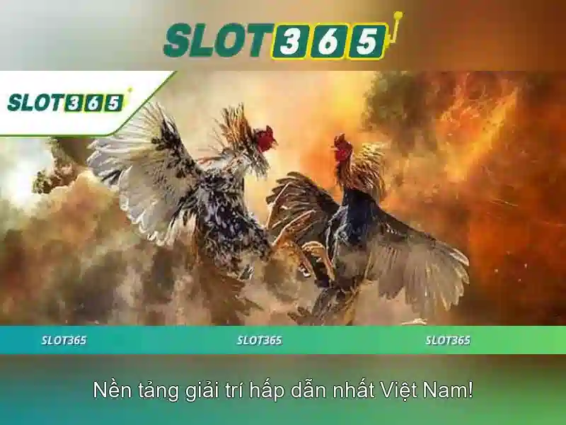 Slot365 Free – Trải Nghiệm Slot365 Uy Tín, Nạp Rút 24/7, Ưu Đãi Độc Quyền 2026