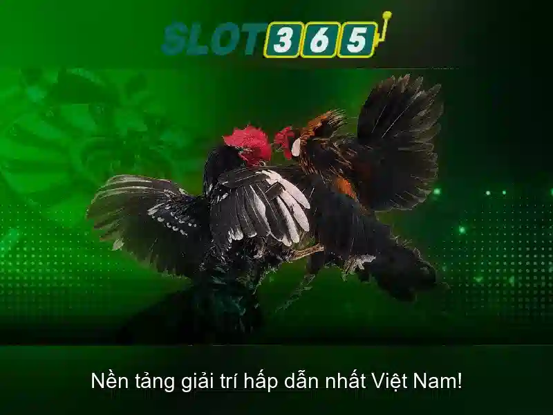 Trải Nghiệm Slot365 Vn