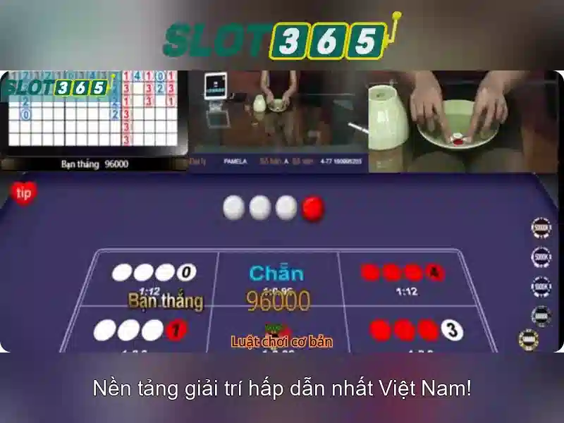 Quy Định Sử Dụng Tài Khoản