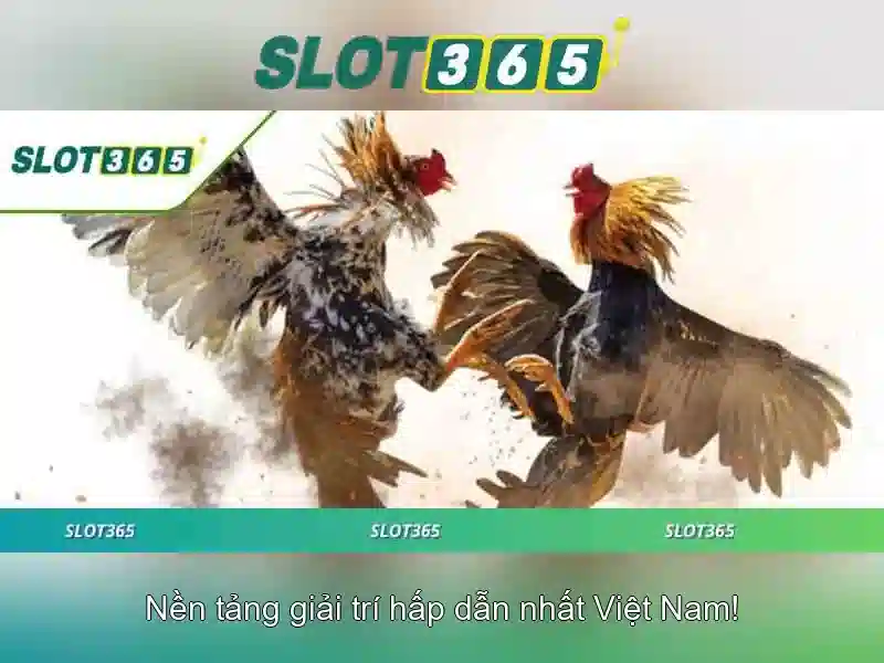 SLOT365 – Trải Nghiệm Xổ Số Đa Dạng Và Độc Đáo