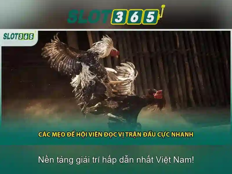 SLOT365 – Trải Nghiệm Slot365 Vn Đỉnh Cao Trong Ngành Slot 2026