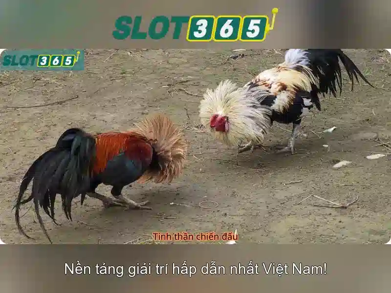 Hệ Thống Bảo Mật Slot365