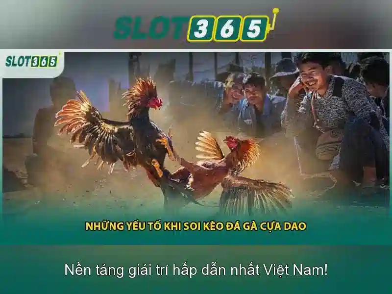 Bảo mật slot365