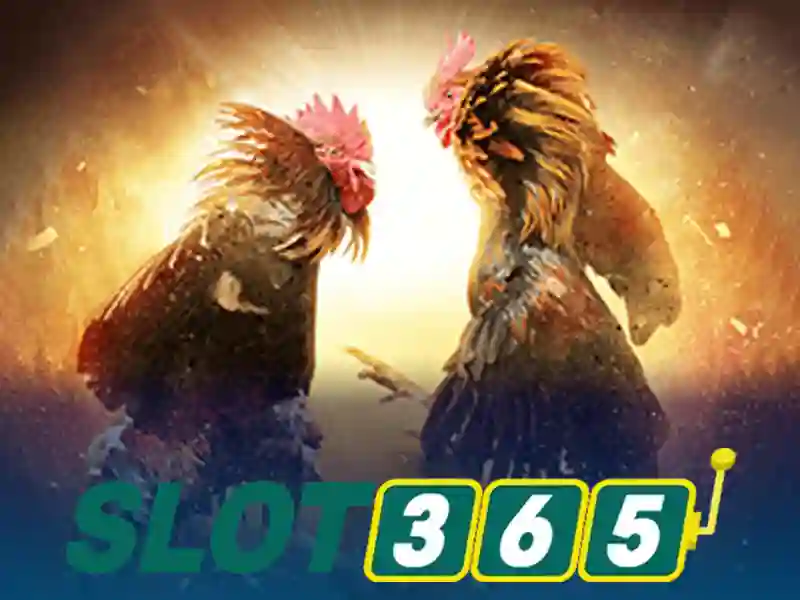 Slot365 XX.VIP